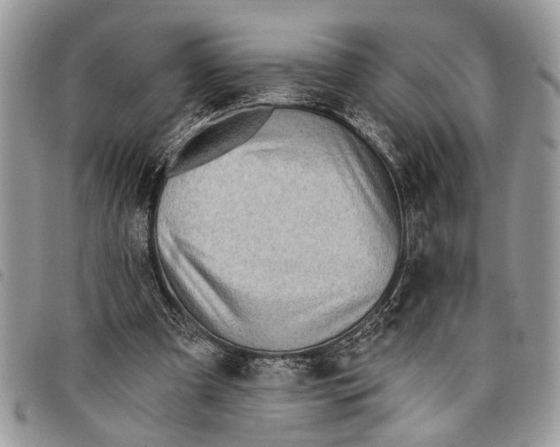 X0000097770297200803281646