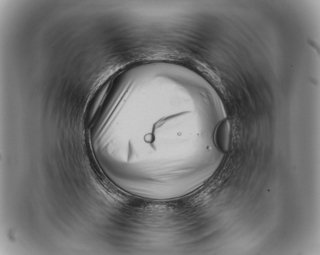 X0000097770298200803281646