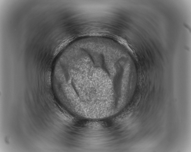 X0000097770299200803281646