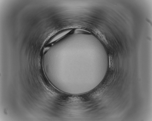 X0000097770300200803281646