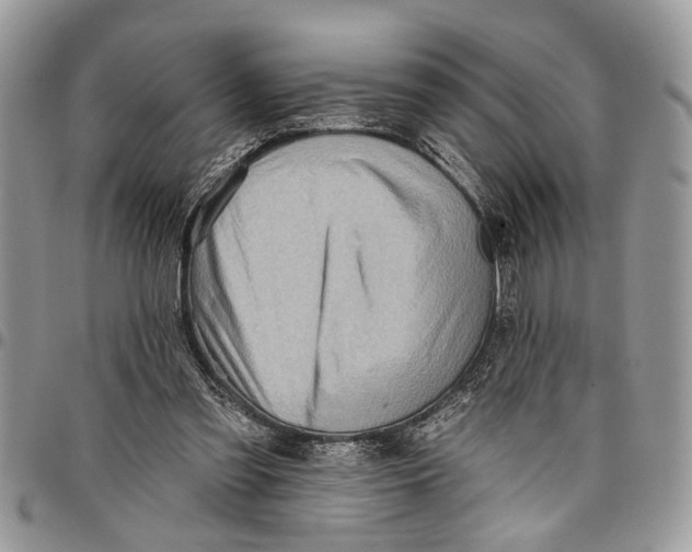 X0000097770301200803281646