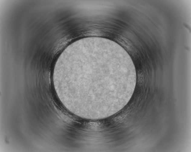 X0000097770302200803281646