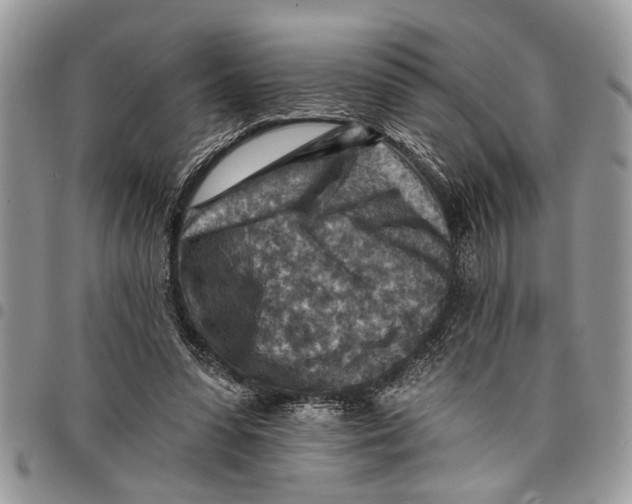 X0000097770303200803281646