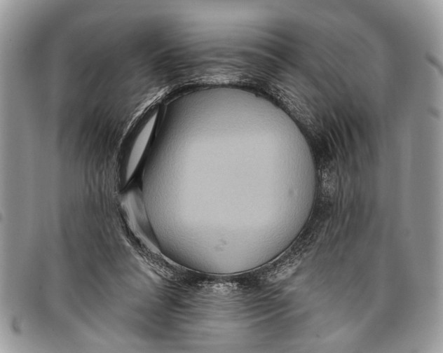 X0000097770304200803281646