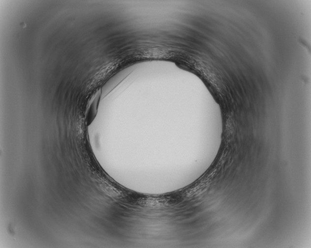 X0000097770305200803281646