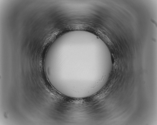 X0000097770306200803281646