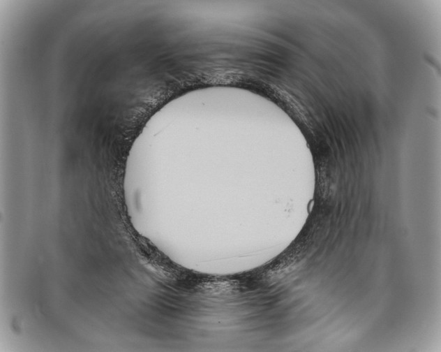 X0000097770307200803281645