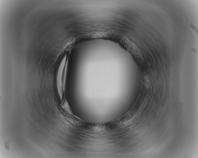 X0000097770308200803281645