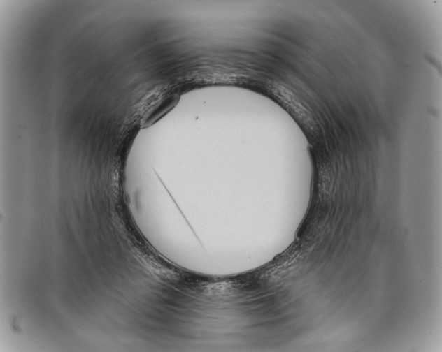 X0000097770309200803281645