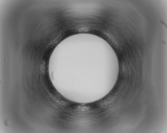 X0000097770311200803281645