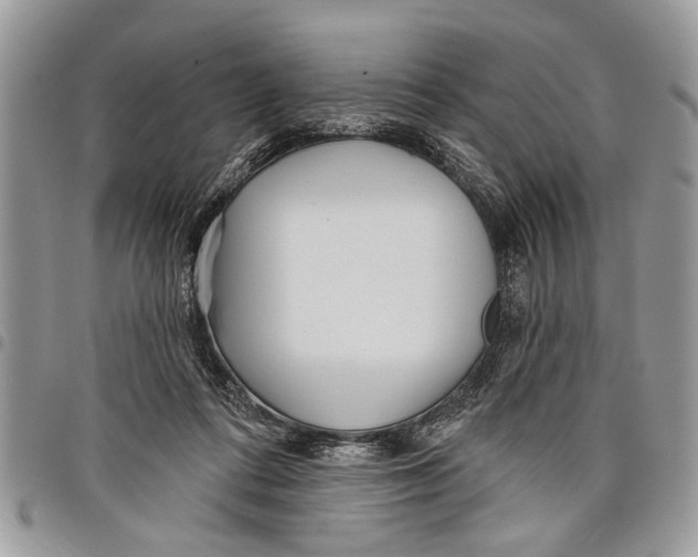 X0000097770312200803281645