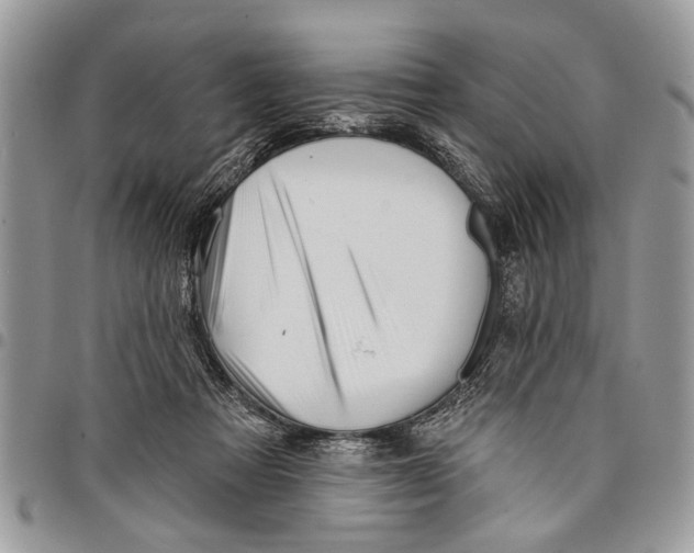 X0000097770313200803281645