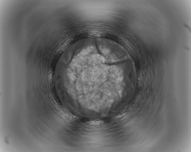 X0000097770314200803281645