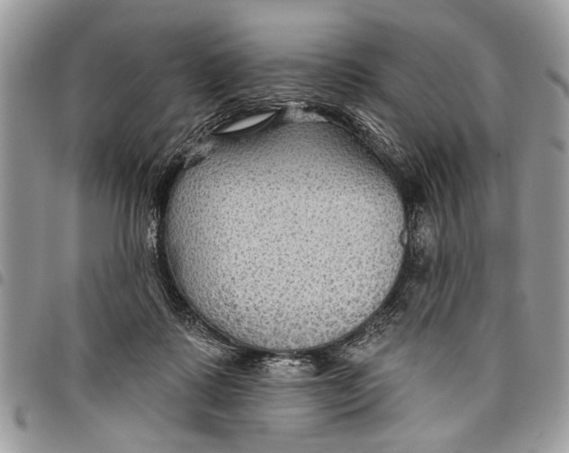 X0000097770315200803281645