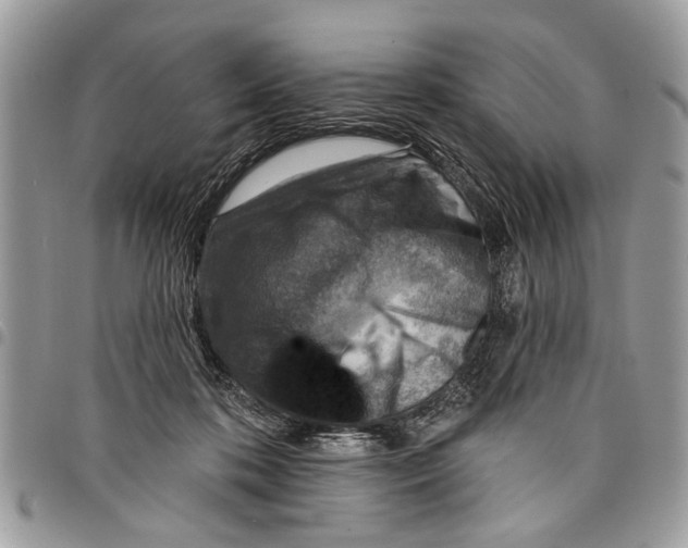 X0000097770316200803281645