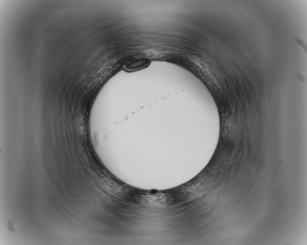 X0000097770317200803281645