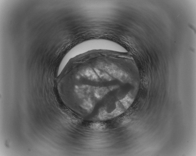 X0000097770319200803281645