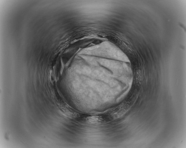 X0000097770320200803281645