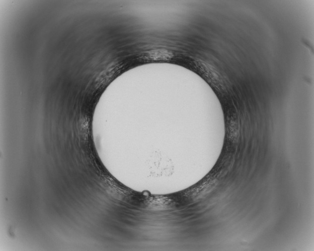 X0000097770321200803281645