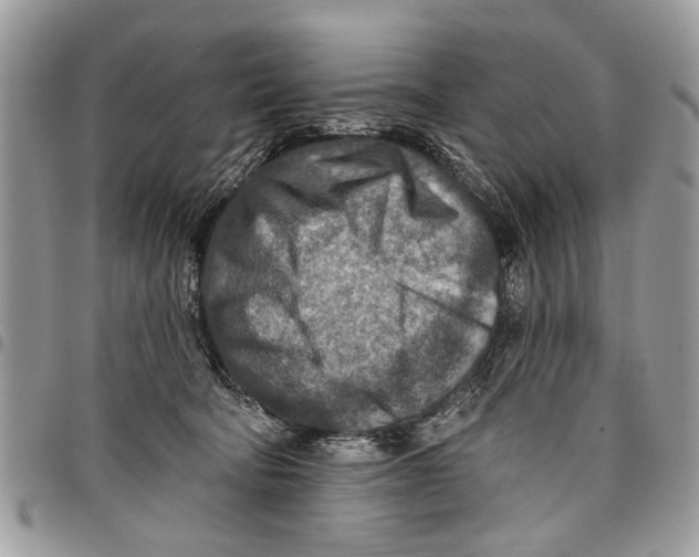 X0000097770322200803281645