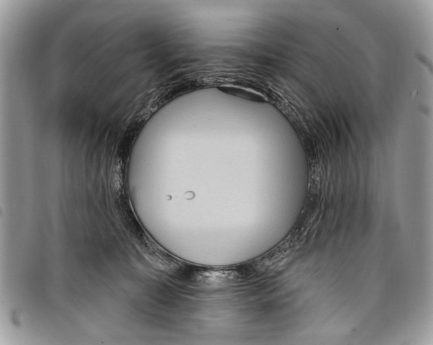 X0000097770323200803281645