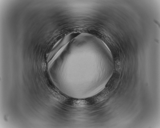 X0000097770324200803281645