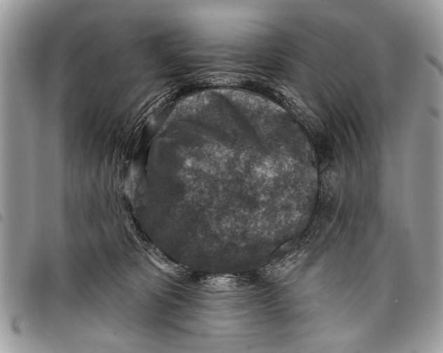 X0000097770325200803281645