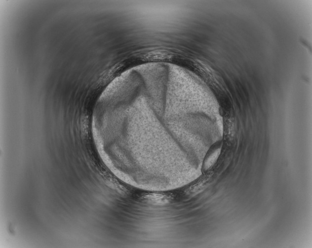 X0000097770326200803281645