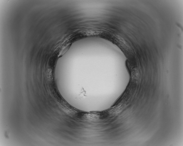 X0000097770327200803281645