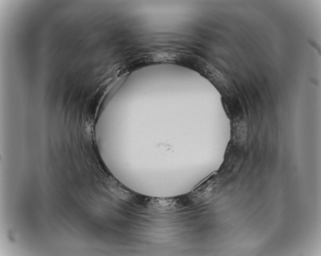 X0000097770329200803281645