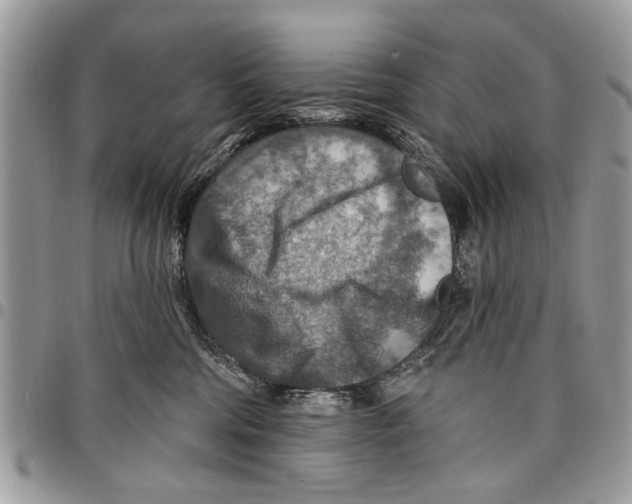 X0000097770330200803281645