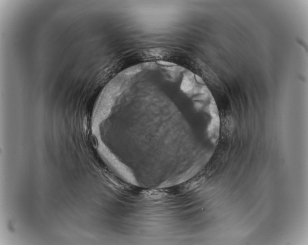 X0000097770331200803281645