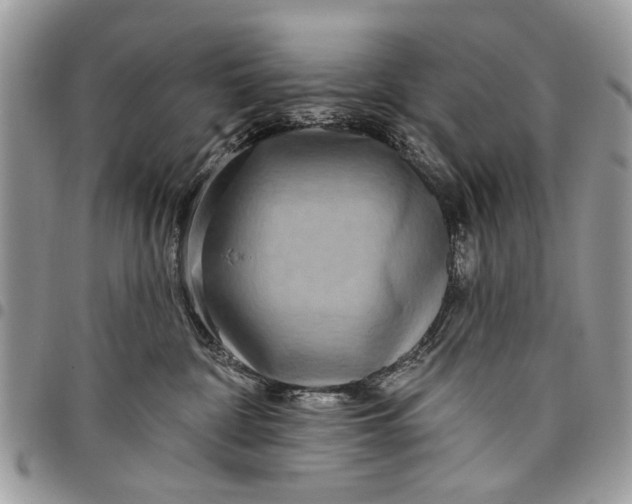 X0000097770332200803281645