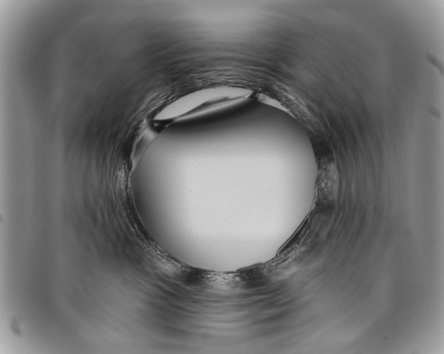 X0000097770333200803281645