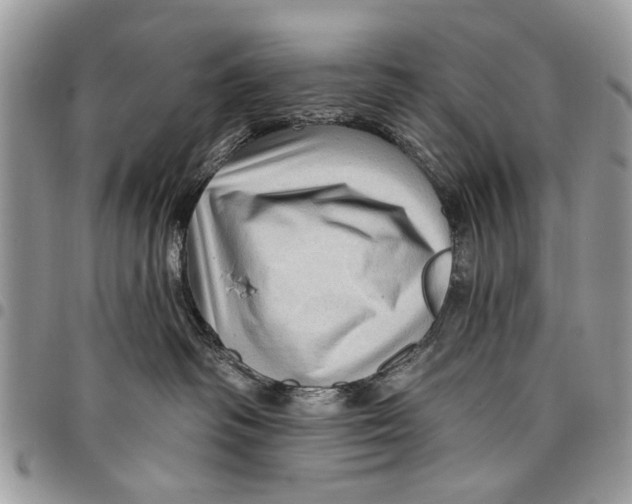 X0000097770334200803281645