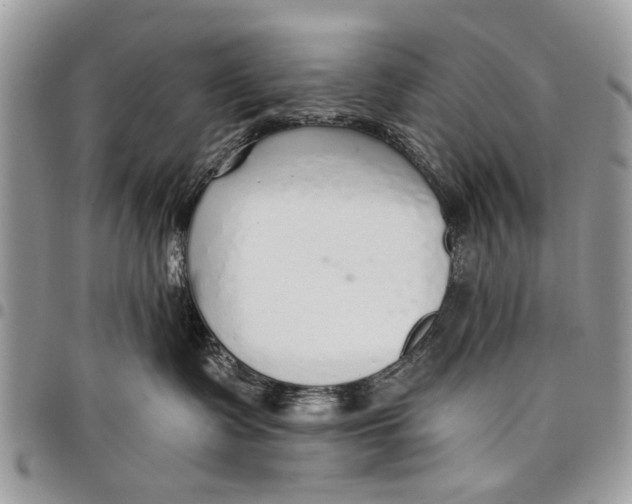 X0000097770335200803281645