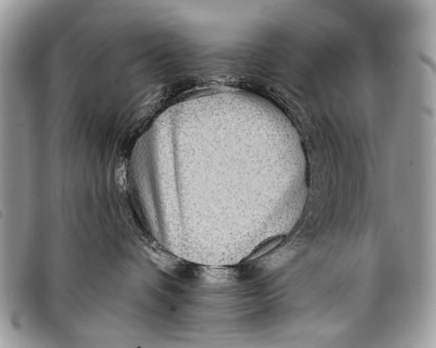 X0000097770336200803281645