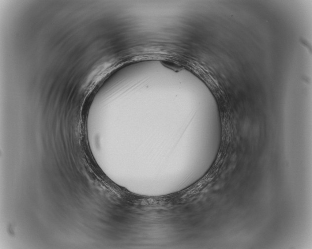 X0000097770338200803281644