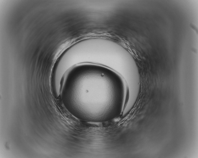 X0000097770340200803281644