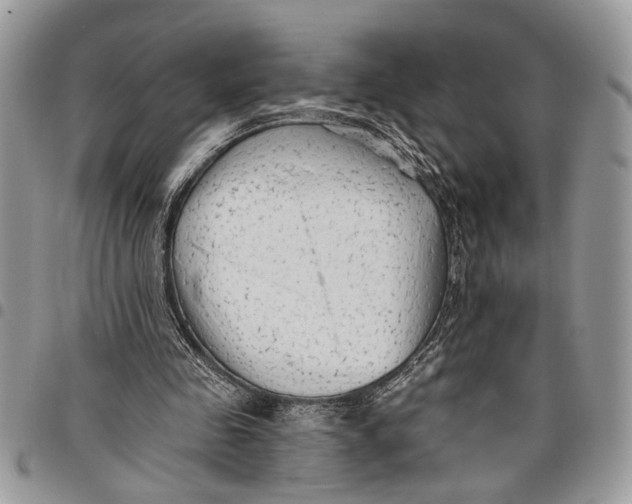 X0000097770341200803281644