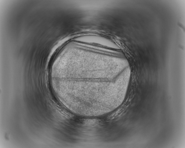 X0000097770342200803281644