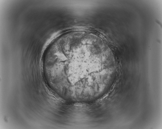 X0000097770343200803281645