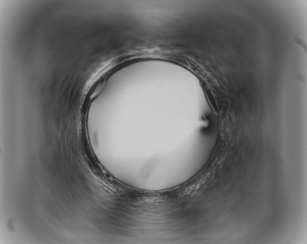 X0000097770344200803281645