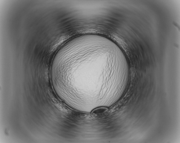 X0000097770345200803281645