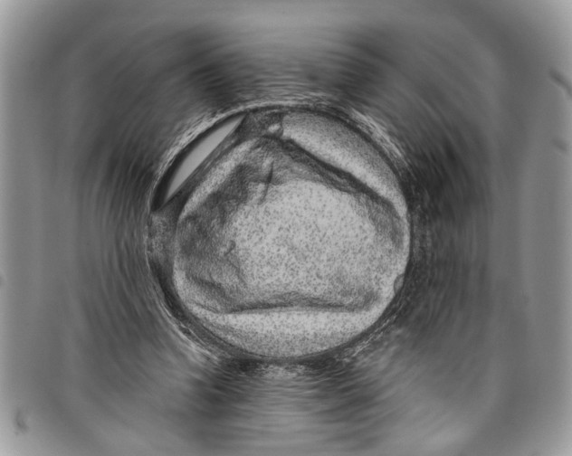 X0000097770346200803281645