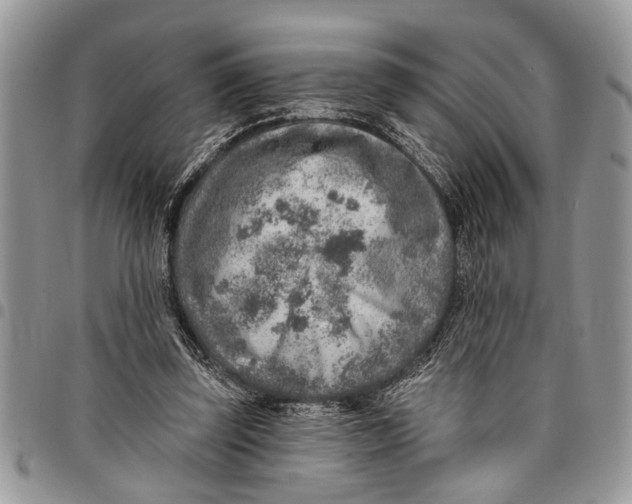 X0000097770347200803281645