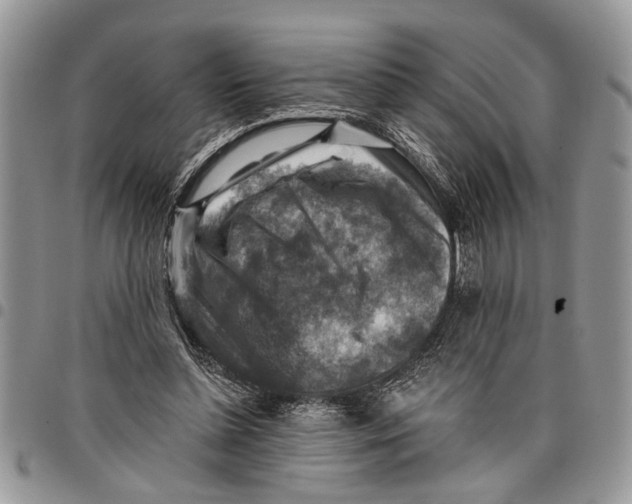 X0000097770348200803281645