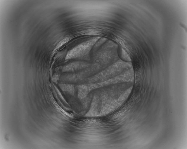 X0000097770349200803281645