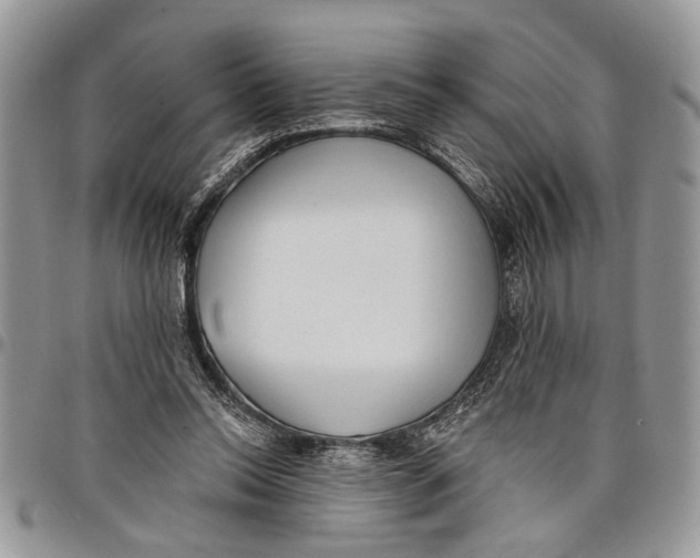 X0000097770350200803281645