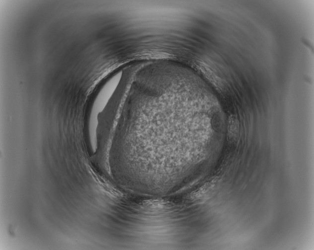 X0000097770351200803281645